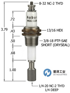 AUBURN電極液位計(jì)WCC-1138LT 愛(ài)澤工業(yè) izeindustries.jpg