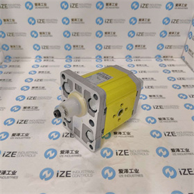 VIVOLO泵X2P5302EPOA 愛(ài)澤工業(yè) izeindustries (2).jpg