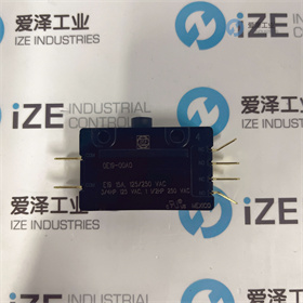 CHERRY微動開關(guān)E19-00A0 愛澤工業(yè) izeindustries (5).jpg