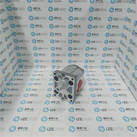 MARZOCCHI泵ALP2-D22-C0-FG-ST 愛澤工業(yè) izeindustries (5)_副本.jpg