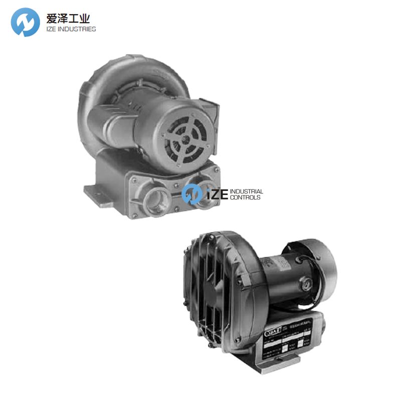 GAST風(fēng)機(jī)R1系列 示例REGENAIR R1102 愛(ài)澤工業(yè) izeindustries.jpg
