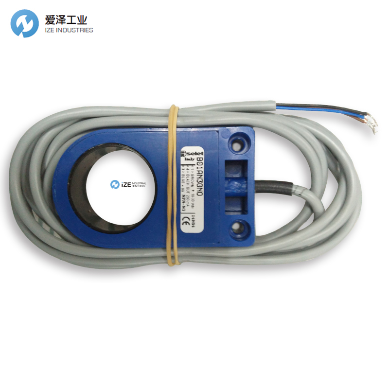 SELET B01AN30NO  愛澤工業(yè) izeindustrialcontrols.jpg