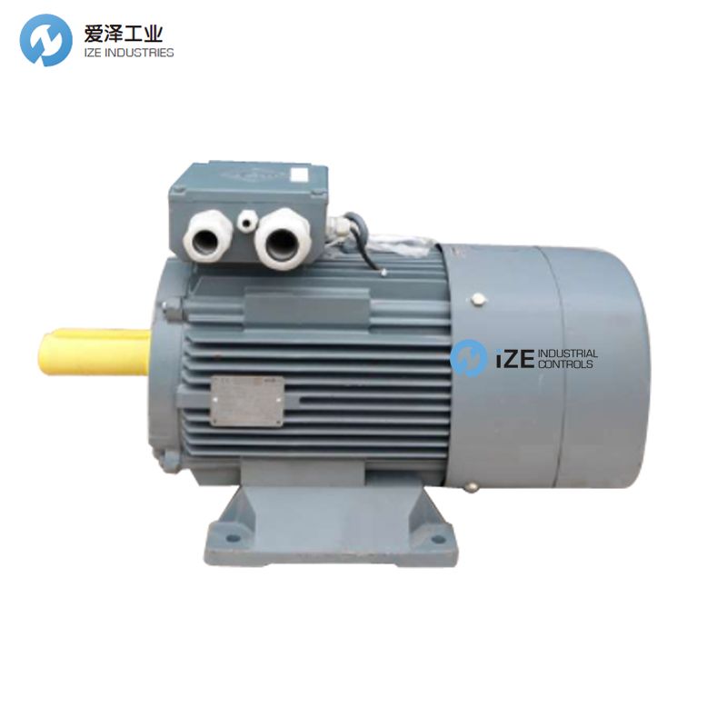 vem電機B21R系列 示例B21R90L4 愛澤工業(yè) izeindustrialcontrols.jpg
