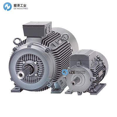 SIEMENS電機(jī)1PP9063-2LA12-Z愛澤工業(yè)izeindustries.jpg