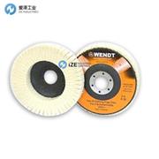 德國WENDT羊毛條拋光盤FG27系列示例FG27125D5H25 245631