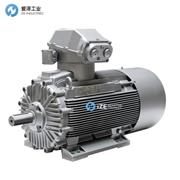 SIEMENS電機(jī)1MJ6系列 示例1MJ60974CA16-7