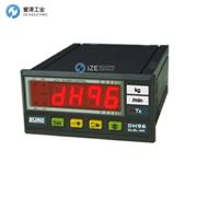 ZURC電表DC96