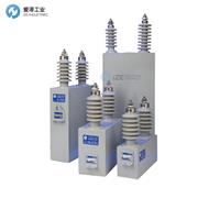 GE浪涌保護(hù)裝置18L0015WH