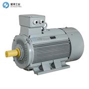 AC-MOTOREN電機AWM315LB 4/PHE