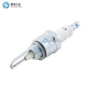 MAXON點火棒18075
