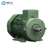 TEE電機Q3HFC100L4D-40H