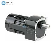 BODINE ELECTRIC電機(jī)34R4BFPP-FX4