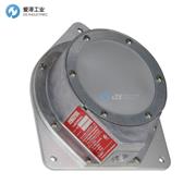 BINMASTER傾斜開(kāi)關(guān)BM-65-RHT