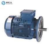 HYOSUNG電機TEFC 5.5KW 380V 50HZ 132S 4P